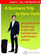 A Business Trip to New York